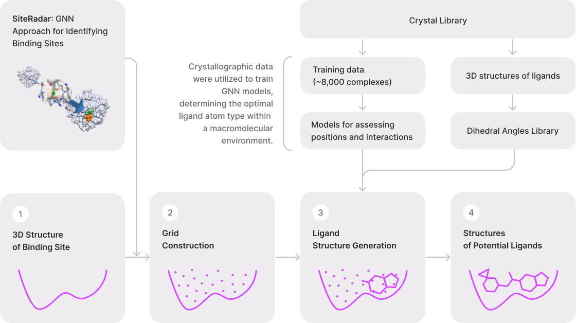 nbg structure